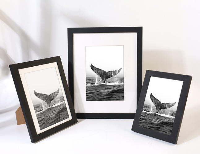 PVC Picture Frame